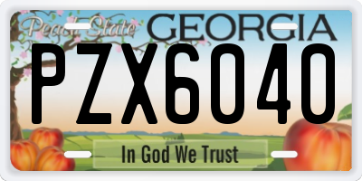 GA license plate PZX6040