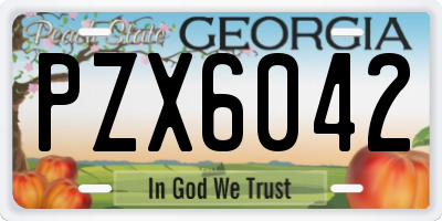 GA license plate PZX6042