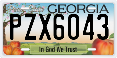 GA license plate PZX6043