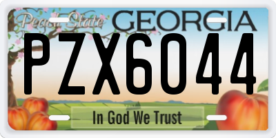 GA license plate PZX6044