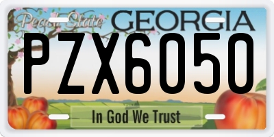 GA license plate PZX6050