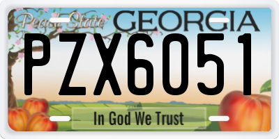 GA license plate PZX6051