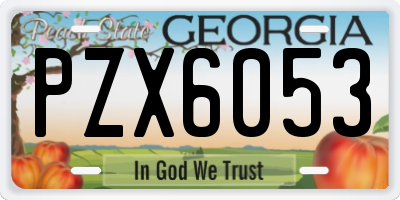 GA license plate PZX6053