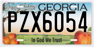 GA license plate PZX6054