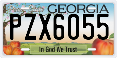 GA license plate PZX6055