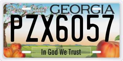 GA license plate PZX6057