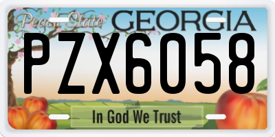 GA license plate PZX6058