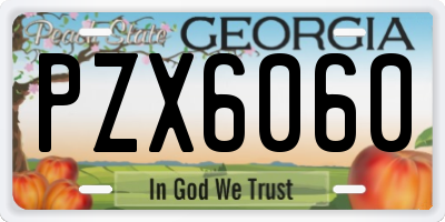 GA license plate PZX6060