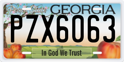 GA license plate PZX6063