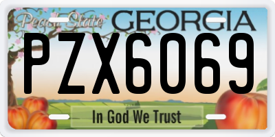 GA license plate PZX6069