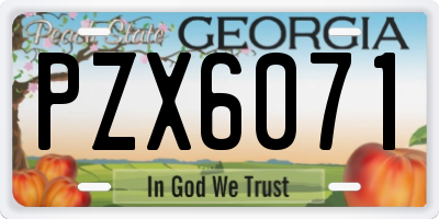 GA license plate PZX6071