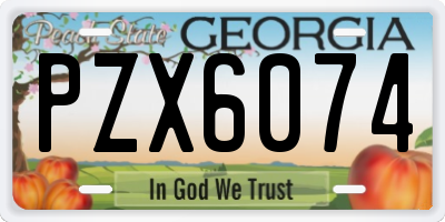 GA license plate PZX6074