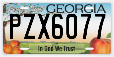 GA license plate PZX6077