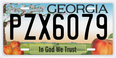 GA license plate PZX6079