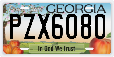 GA license plate PZX6080