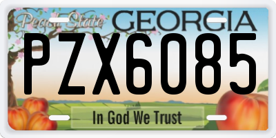 GA license plate PZX6085