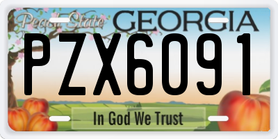 GA license plate PZX6091