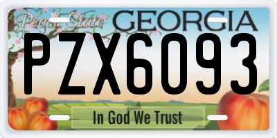 GA license plate PZX6093