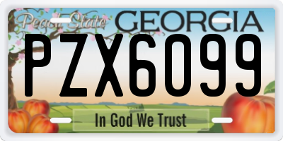 GA license plate PZX6099