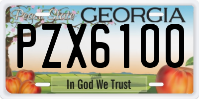GA license plate PZX6100