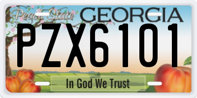 GA license plate PZX6101