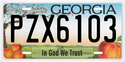 GA license plate PZX6103