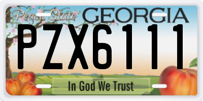 GA license plate PZX6111