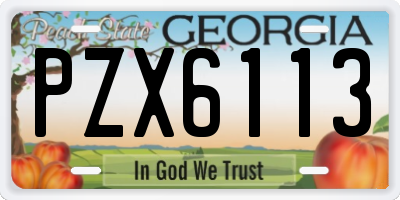 GA license plate PZX6113