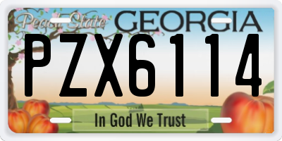 GA license plate PZX6114