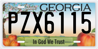GA license plate PZX6115