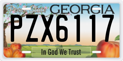 GA license plate PZX6117