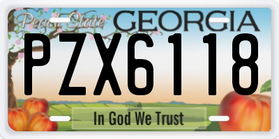 GA license plate PZX6118