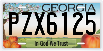 GA license plate PZX6125