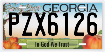 GA license plate PZX6126