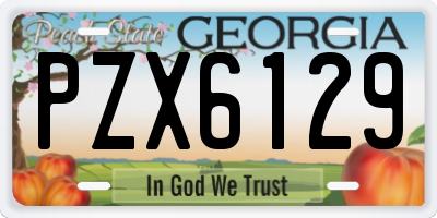 GA license plate PZX6129
