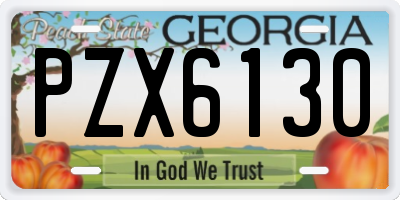 GA license plate PZX6130