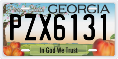 GA license plate PZX6131