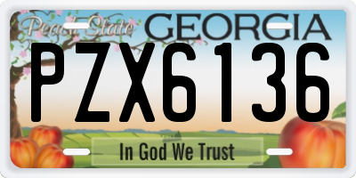 GA license plate PZX6136