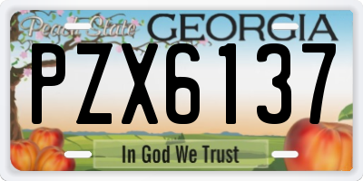 GA license plate PZX6137