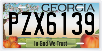 GA license plate PZX6139
