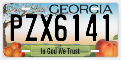 GA license plate PZX6141