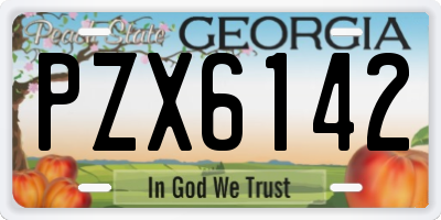 GA license plate PZX6142