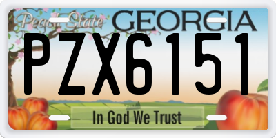 GA license plate PZX6151