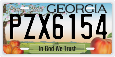 GA license plate PZX6154