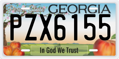 GA license plate PZX6155