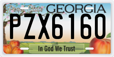 GA license plate PZX6160