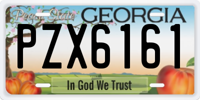 GA license plate PZX6161