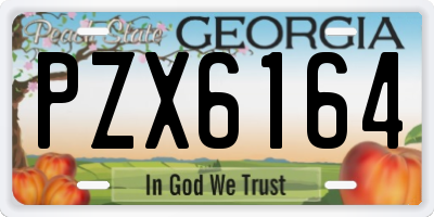 GA license plate PZX6164