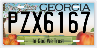 GA license plate PZX6167