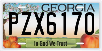 GA license plate PZX6170
